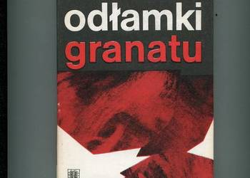Odłamki granatu - Cezary Chlebowski
