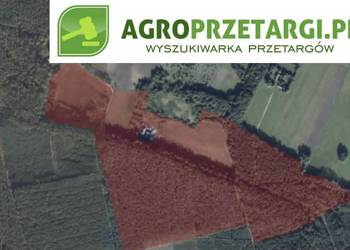 Dzierżawa 10,55 ha gruntu rolnego