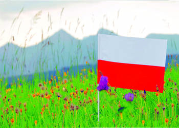 Polska Flaga