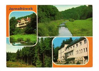 JARNOŁTÓWEK WIELOWIDOKOWA
