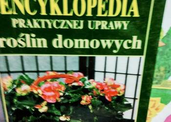 Encyklopedia praktycznej uprawy roślin domowych książki okaz