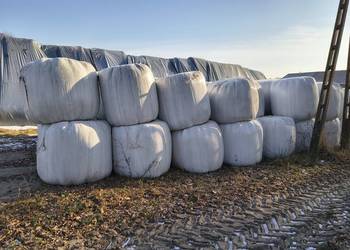 Sprzedam sianokiszonkę