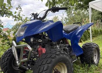 quad bashan 150