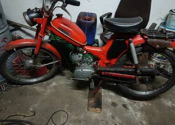 Komar z silnikiem 025