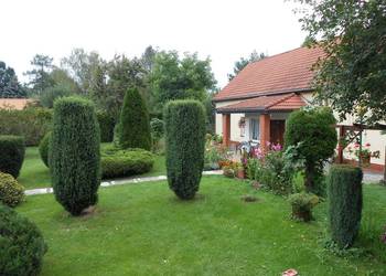 Kamienna Góra, dom z ogrodem /garaż/działka