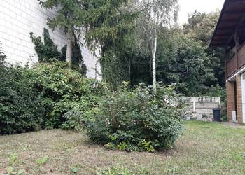 Działka z bydynkami k. Puław