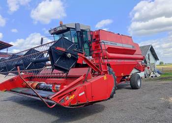 Kombajn Massey Ferguson 36 RS hydrostat klimatyzacja heder 5,5 m s