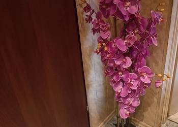 Orchidea fioletowa