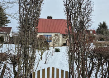 Działka ROD Mickiewicza