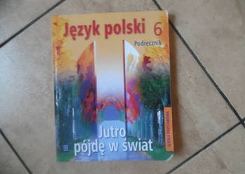 JĘZYK POLSKI KL VI ,, Jutro pójde w świat