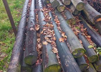 Słupy do chmielu