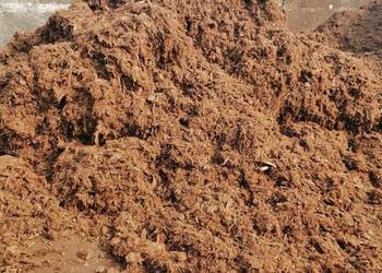 TORF KWAŚNY / 188 zł / m.3. / ŁOTEWSKI WYSOKI SPHAGNOWY Fr. 0-40 i 0-20 TORF KWAŚNY / 188 zł / m.3. / ŁOTEWSKI WYSOKI SPHAGNOWY Fr. 0-40 i 0-20