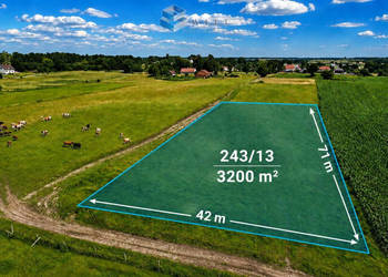 Działka 3200m2 Jurki