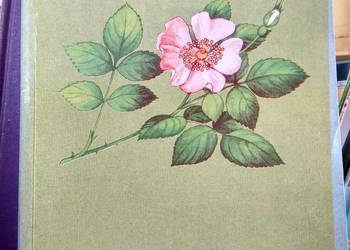 Biologia Podbielkowscy