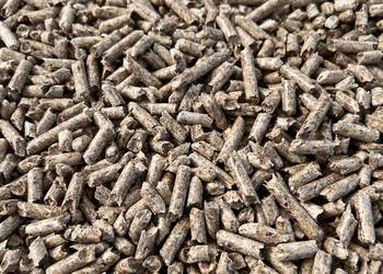 Pellet drzewny sosnowy A1 w workach 15 kg, transport w cenie