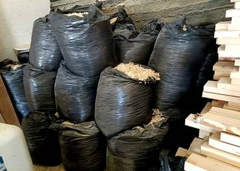 Suche wióra, wiórka świerkowe w workach 160l 240l