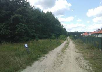 Atrakcyjna działka budowlana z drzewami w Ostrowinie | 1100 m² | 95 zł/m²