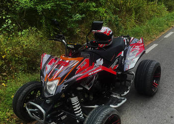 Quad Egl mad max 250cc