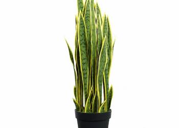 Sztuczna sansevieria w doniczce 90 cm