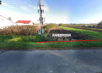 Inwestycja 0,99 ha | Skalmierz PKP | Bez statusu rolnika | Bezpośrednio pr…
