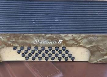 Akordeon Royal Standard Pellona 2