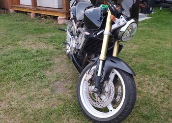 Sprzedam honda hornet 600 pc 35