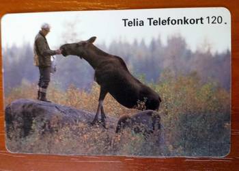 ŁOŚ - JEDEN Z NAJWIĘKSZYCH SSAKÓW EUROPY ( KARTA TELEF. )