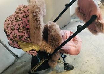 Wózek Cybex 2.0 Jeremy Scott