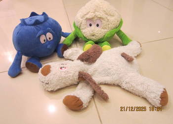 MASKOTKI PLUSZAKI  GANG ŚWIEŻAKÓW BIEDRONKA