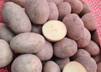 Ziemniaki Jadalny Piwonia bardzo wczesne, Lord wczesny, Soraya.