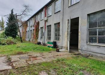 Lokal  Pruszków