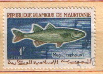 Zn. R. Isl.  de  Mauretania Mi 236 ** 1966