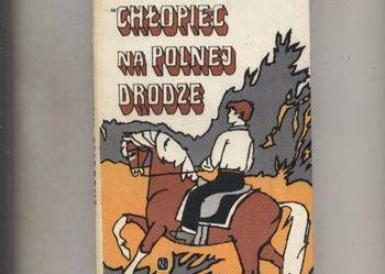 Chłopiec na polnej drodze - Platówna