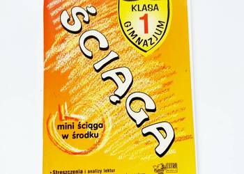 Bogumiła Wojnar - 1 klasa Streszczenia i analiza lektur