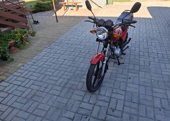 Motorower Barton Fighter Eco 50 (Dafier HW50B)