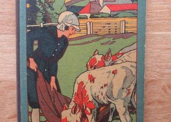 Unser Bauernhof – Unikatowa niemiecka książka dla dzieci, ok. 1910-1920 r.