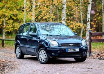 Ford Fusion 1.4 TDCi 2004 – diesel,  tanio