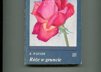 Róże w gruncie Róże w gruncie