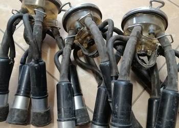 Kolektor dojarki alfa laval westfalia harmon