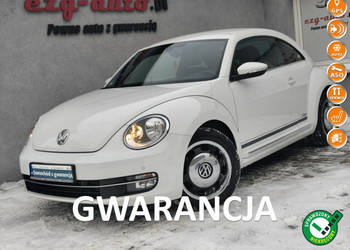 Volkswagen Beetle bezwypadkowy serwis wyposażenie Gwarancja