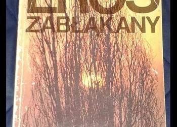 Eros zabłąkany - Kinga Wiśniewska - Roszkowska