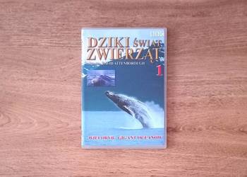 Edukacja Lew, Orka i inne (seria BBC Dziki świat zwierząt) + gratis