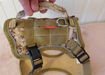 Szelki dla małego psa