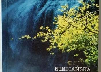 Niebiańska Przepowiednia - Redfield James Niebiańska Przepowiednia - Redfield James