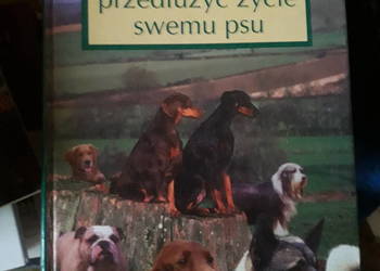 Możesz przedłużyć życie swemu psu - Krzysztof Anusz