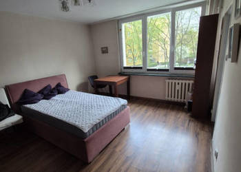 Saska Kępa Kawalerka do wynajęcia