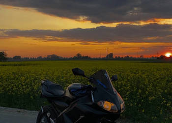 Sprzedam yamaha tzr 50/75