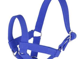 Kantar dla lam rozmiar 60 niebieski 27199