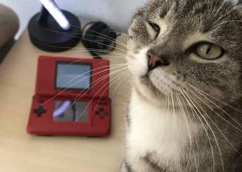 Nintendo DS fat + akcesoria