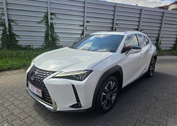 Lexus UX 250H Omotenashi /Mark Levinson / Już zarejestrowany w Polsce